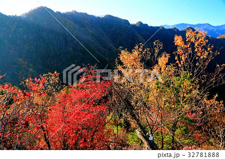 八丁尾根から見る朝の両神山山頂 32781888
