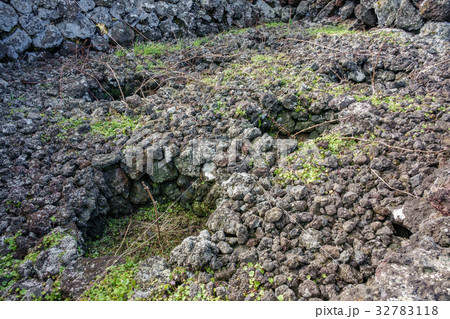 Vineyards in Terceira, Azores Vineyards in Terceira, Azores 32783118