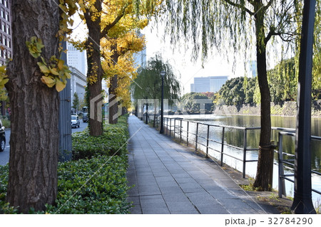 東京都心の紅葉 東京都心の紅葉 32784290