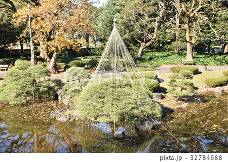 東京の紅葉 32784688