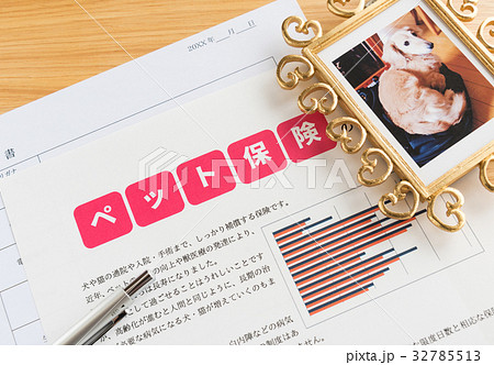 ペット保険イメージ 加入 ペット保険イメージ 加入 32785513