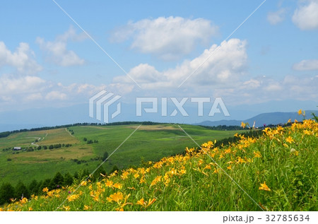 車山高原 満開のニッコウキスゲと霧ヶ峰飛行場 車山高原 満開のニッコウキスゲと霧ヶ峰飛行場 32785634