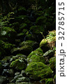 岩と苔と水 32785715