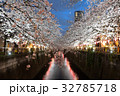 中目黒桜ライトアップ 32785718