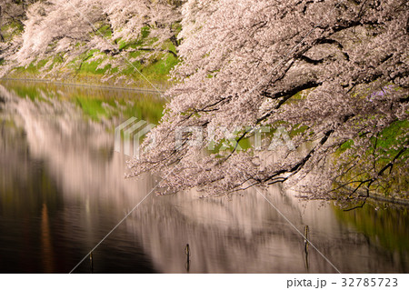 千鳥ヶ淵桜ライトアップ 32785723