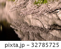 千鳥ヶ淵桜ライトアップ 32785725