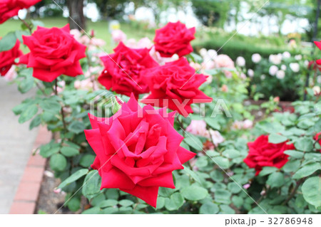 クリスチャンディオール クリスチャンディオール 32786948