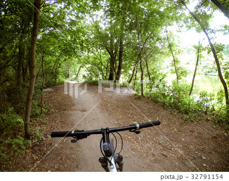 Bicycle steering wheel path forest trees 32791154