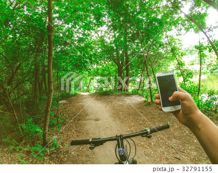 Bicycle steering wheel path forest trees 32791155