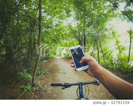 Bicycle steering wheel path forest trees 32791156