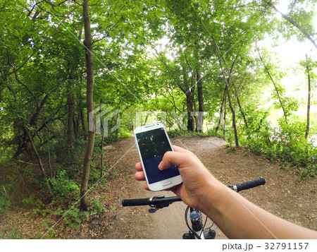 Bicycle steering wheel path forest trees 32791157