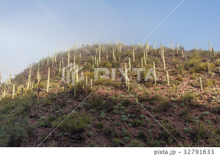 Scenic Arizona Desert Landscape Scenic Arizona Desert Landscape 32791633