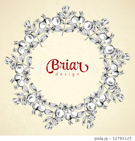 Vintage circle frame briar sketch template 32793125