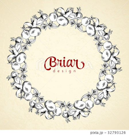 Vintage circle frame briar sketch template 32793126
