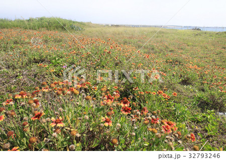 台湾 ポンフー 澎湖諸島 32793246