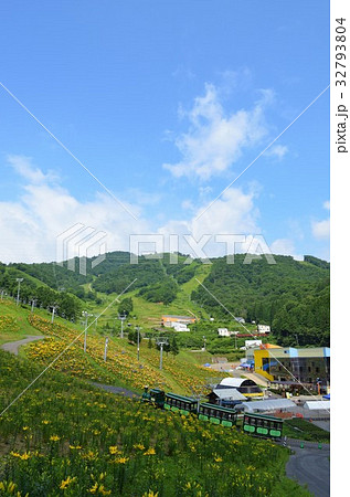 ダイナランド　ゆり園 32793804