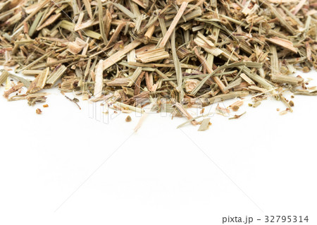 ヒメスイバ:Sheep sorrel ヒメスイバ:Sheep sorrel 32795314