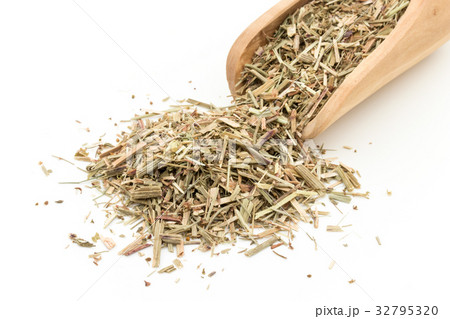 ヒメスイバ:Sheep sorrel ヒメスイバ:Sheep sorrel 32795320