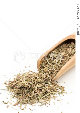 ヒメスイバ:Sheep sorrel 32795321