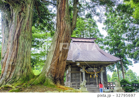 松尾神社と二本杉 松尾神社と二本杉 32795697