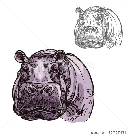 Hippopotamus hippo wild animal vector sketch icon - Stock