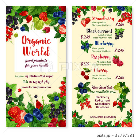 Vector price menu for berries and garden fruits Vector price menu for berries and garden fruits 32797531
