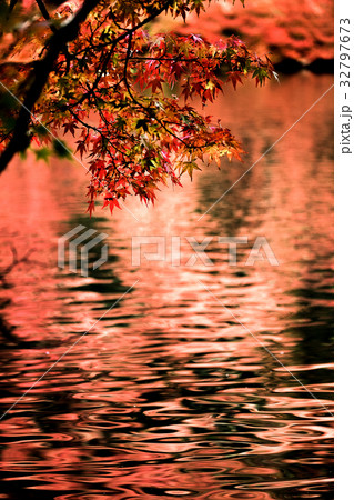 紅葉　軽井沢雲場池 32797673