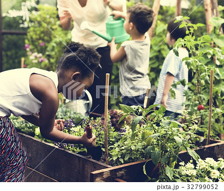 Group of Diverse Kids Learning Environment at Farm Group of Diverse Kids Learning Environment at Farm 32799052