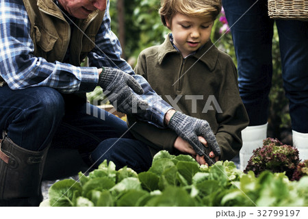 Group of people gardening backyard together Group of people gardening backyard together 32799197