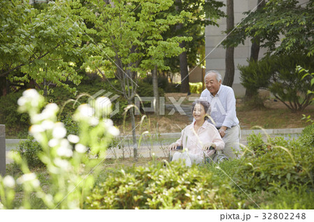 60代 木 屋外 32802248