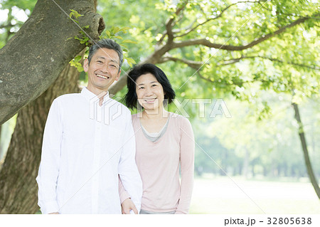 新緑 シニア オシドリ夫婦 新緑 シニア オシドリ夫婦 32805638