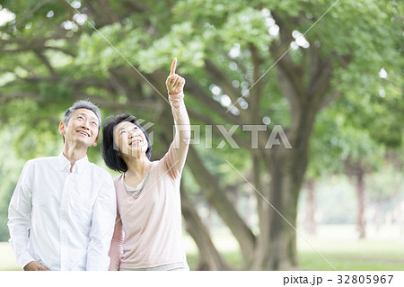 新緑　シニア　オシドリ夫婦　 32805967