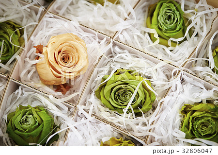 バラのドライフラワー 32806047