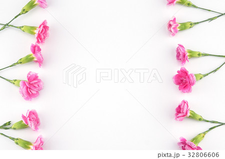 Pink carnation flowers on white background 32806606