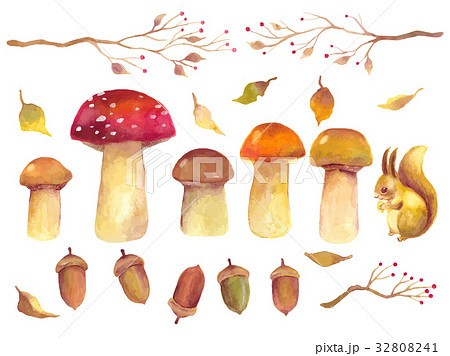 秋 植物 イラスト 秋 植物 イラスト 32808241