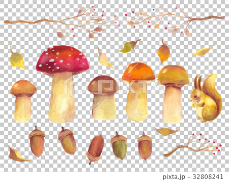 秋 植物 イラスト 秋 植物 イラスト 32808241