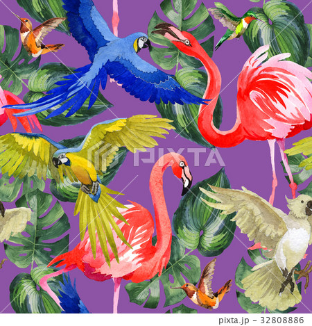 Sky bird parrot pattern in a wildlife by 32808886