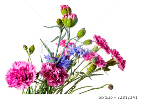 Bouquet of garden flowers 32812341