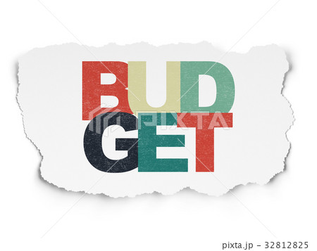 Currency concept: Budget on Torn Paper background 32812825