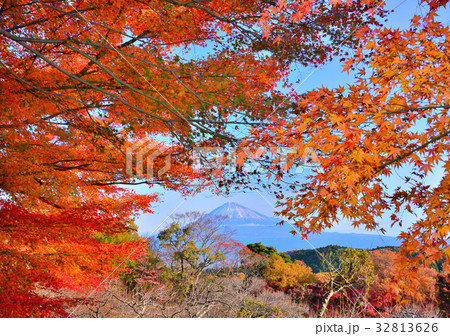 岩本山公園からの風景-4801 岩本山公園からの風景-4801 32813626