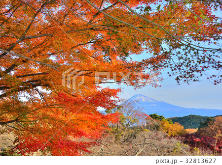 岩本山公園からの風景-4802 32813627
