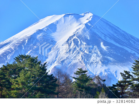 諏訪の森自然公園からの富士山-778489 32814082