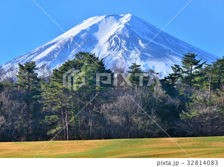 諏訪の森自然公園からの富士山-778490 32814083