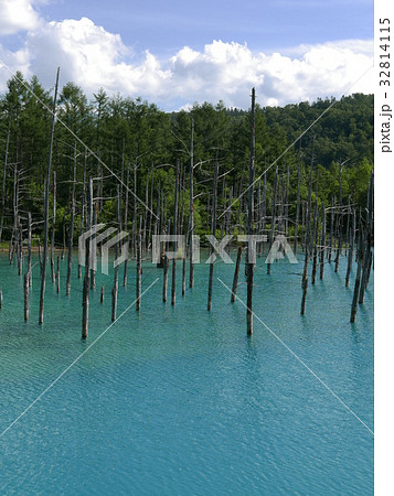 青い池2017-8 青い池2017-8 32814115