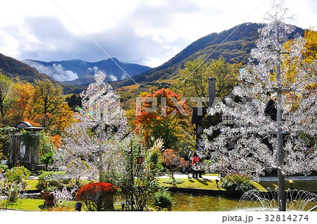 箱根ガラスの森美術館ガラス庭園の紅葉と大涌谷噴煙 箱根ガラスの森美術館ガラス庭園の紅葉と大涌谷噴煙 32814274