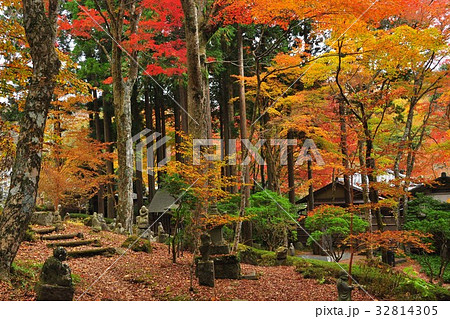 箱根町 仙石原長安寺紅葉と石仏の写真素材