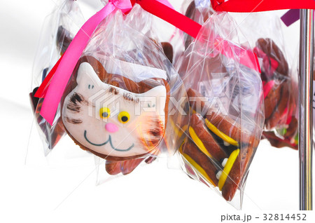 Hand made cookie looks like small cat Hand made cookie looks like small cat 32814452