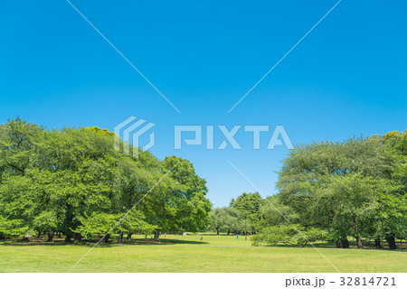 砧公園 砧公園 32814721