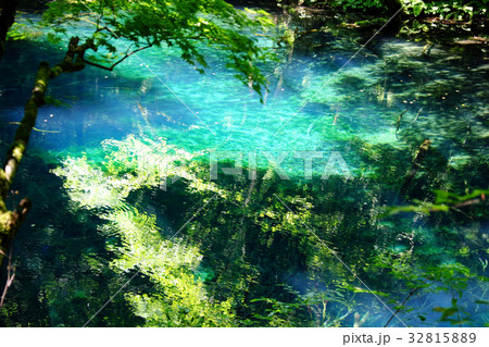 夏の沸壺の池　陽光と深緑の水面 32815889