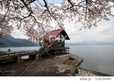 田沢湖・漢槎宮と桜 32816084